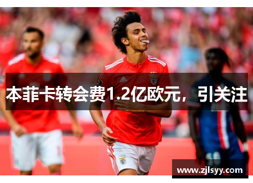 本菲卡转会费1.2亿欧元，引关注