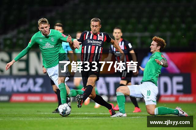 了解3377体育
